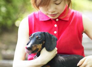 「愛犬・愛猫のための療法食完全ガイド：健康を守るための選び方とおすすめ商品」